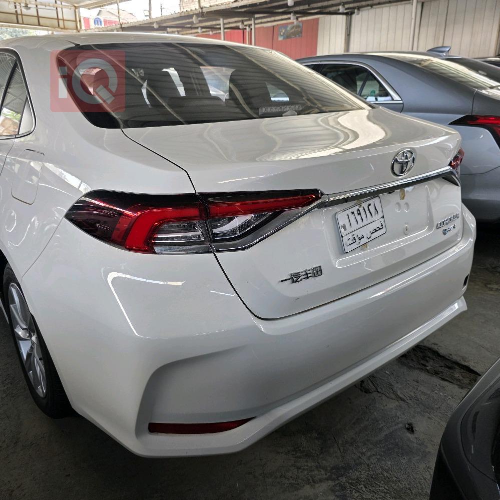 تويوتا كورولا